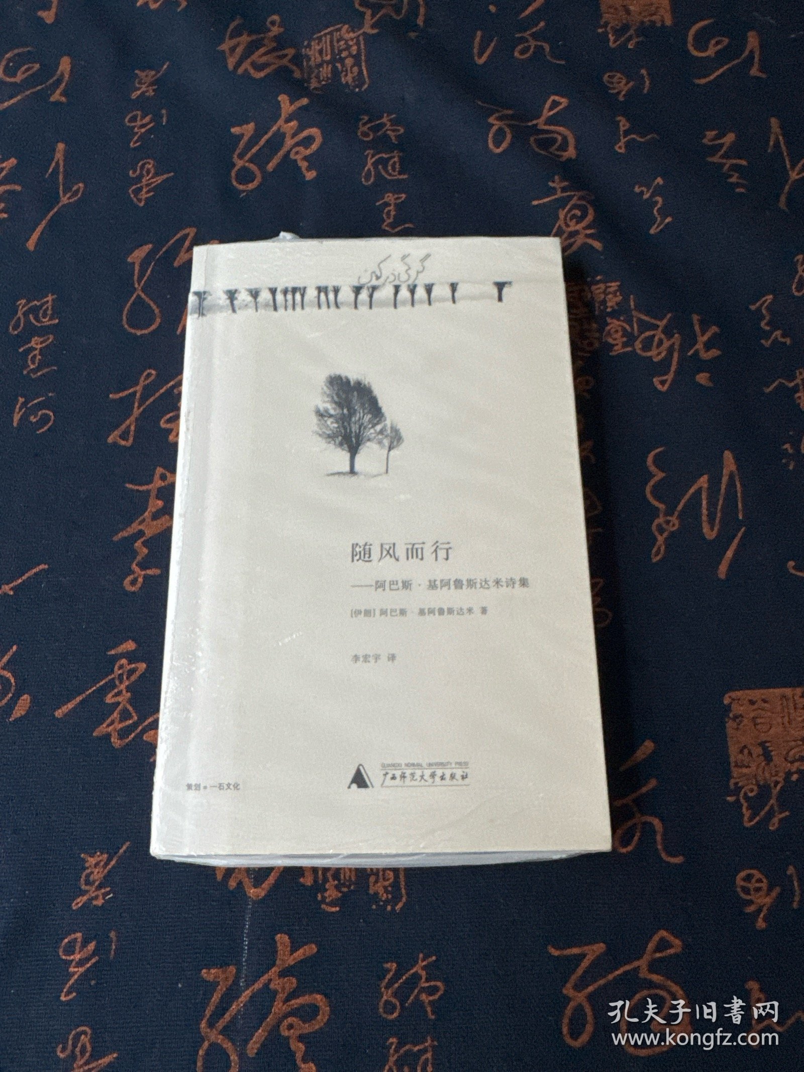 随风而行：阿巴斯·基阿鲁斯达米诗集【现货 保正 塑封 实物拍摄】