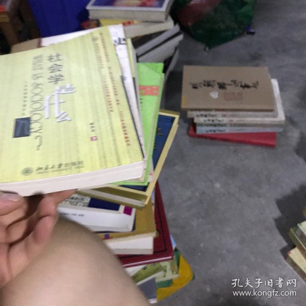 社会学是什么