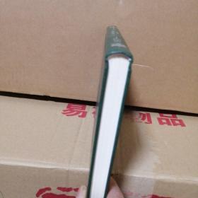 20世纪俄罗斯文学精品书系：第四十一（精装）