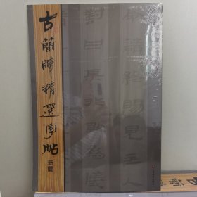 古简牍精选字帖：新简