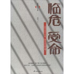 临危受命：反腐纪实小说 官场、职场小说 洪与