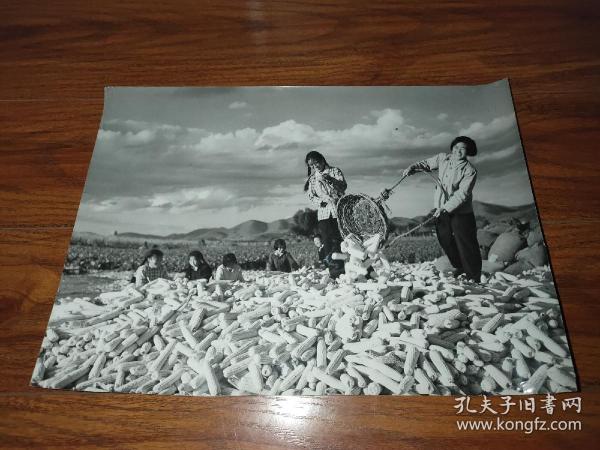 七十年代老照片:场院里的笑声(40.5厘米Х29.5厘米)