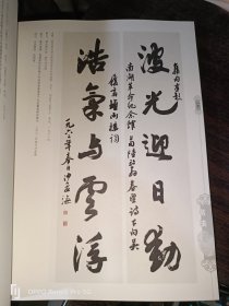 书海漫步（沙孟海的世纪人生：暨纪念沙孟海先生逝世廿五周年）16开现货