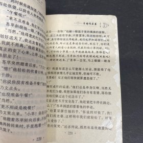 红苹果之恋