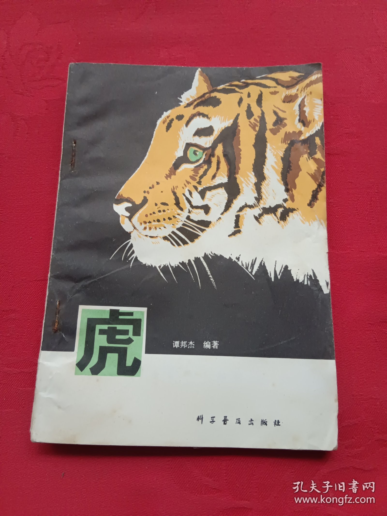 虎