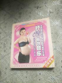 抒情胎教音乐(2VCD)