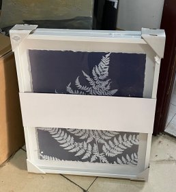 20250114J05 蕨类植物2联装饰画 外框尺寸：52*61 厘米 出口品质 带玻璃