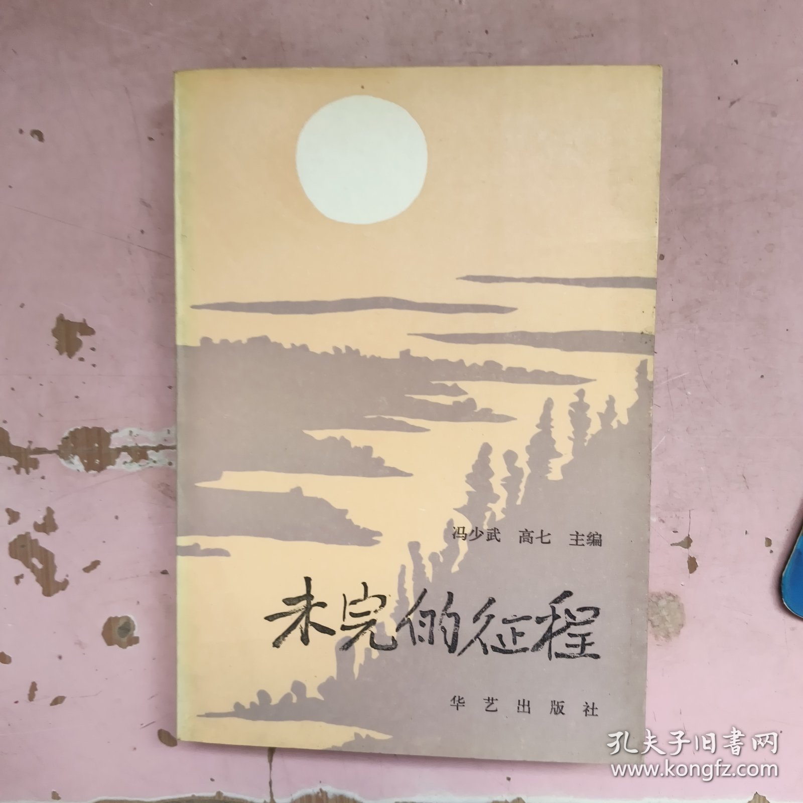 未完的征程 下