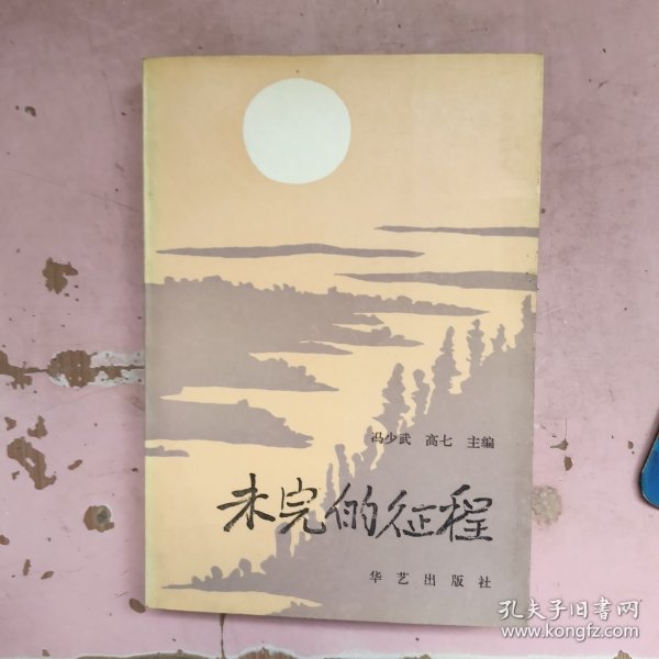 未完的征程 下