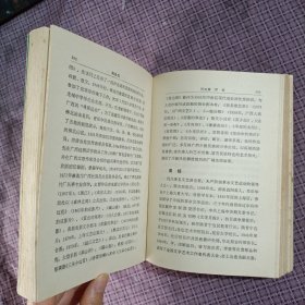 中国文学家辞典