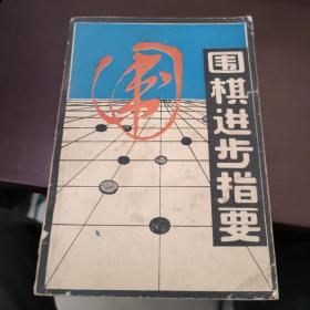 围棋进步指要