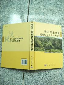 陕北黄土高原植被恢复及近自然造林  原版内页干净