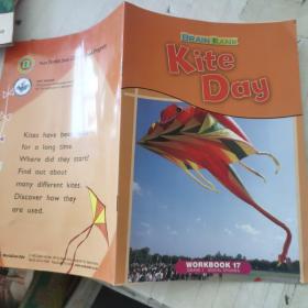 kite day（英语练习册）