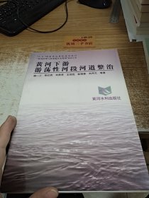 黄河下游游荡性河段河道整治