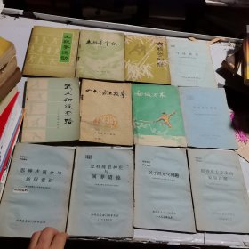 四十八式太极拳【体育系列书12本合售】