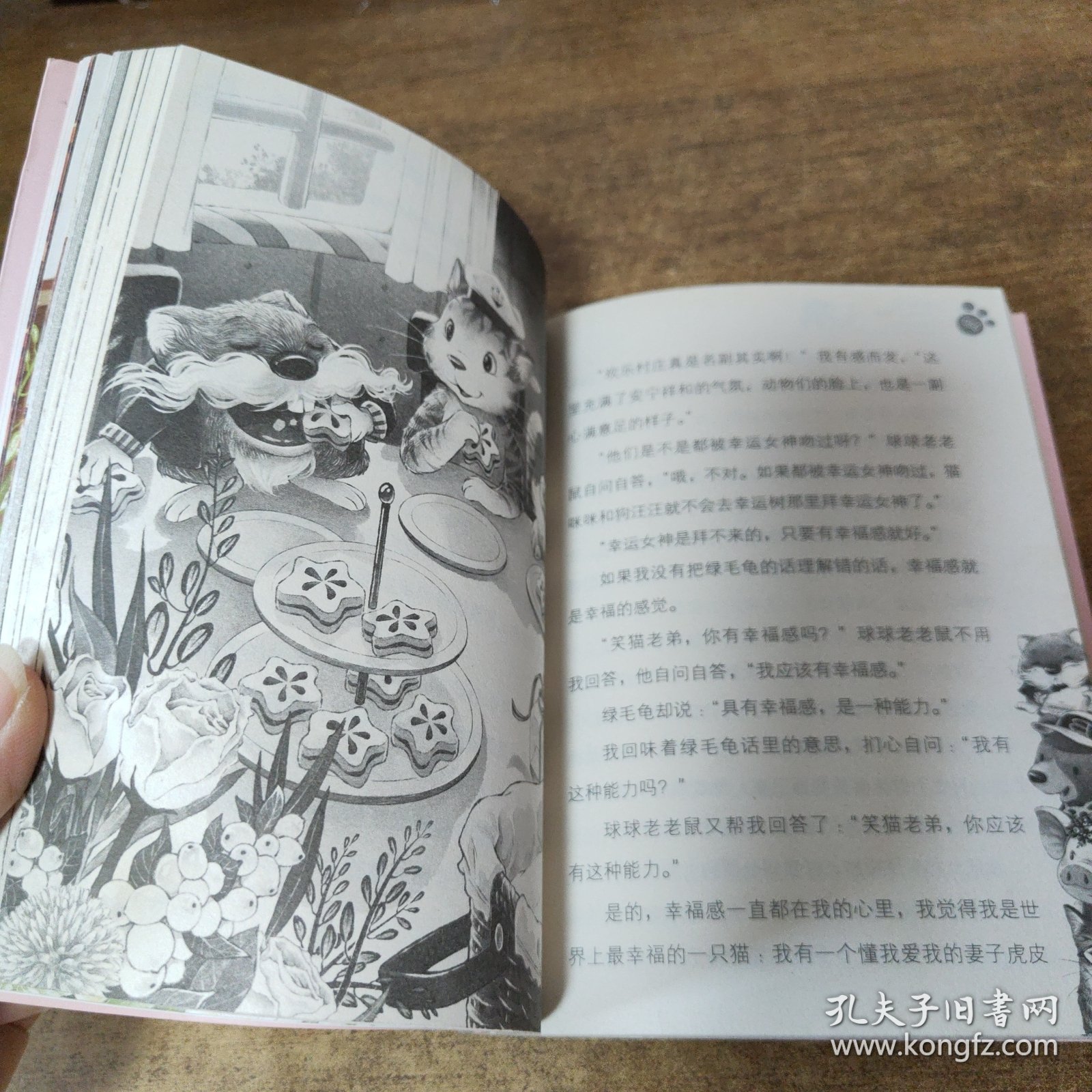 杨红樱笑猫日记：幸运女神的宠儿