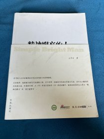 精神明亮的人：王开岭散文随笔自选集