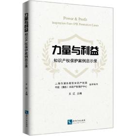 力量与利益：知识产权保护案例启示录