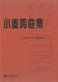 保正版！小奏鸣曲集9787103034422人民音乐出版社人民音乐出版社编辑部