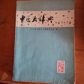 中医大辞典