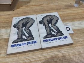 新译全本：黑奴吁天录（上下）