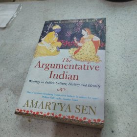 The Argumentative Indian：Writings on Indian History, Culture and Identity