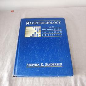 【英文原版】Macrosociology