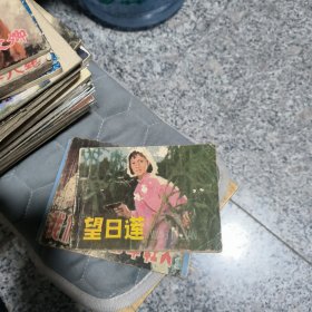 望日莲
