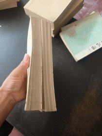 中国文学史（二 三册）