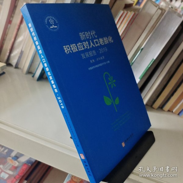 中国老龄化社会20年：成就·挑战与展望（新时代积极应对人口老龄化发展报告）