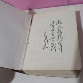 农村医生手册