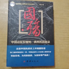 国殇（第5部）：中国远征军缅甸、滇西抗战秘录