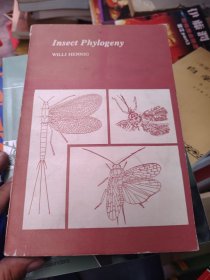 Insect phylogeny 昆虫系统发育 WILLI HENNIG