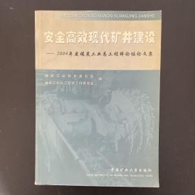 安全高效现代矿井建设：2004年度煤炭工业总工程师论坛论文集