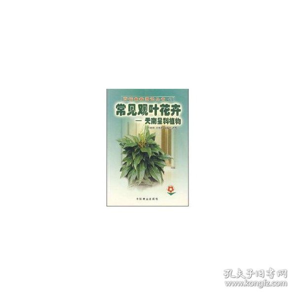 常见观叶花卉：天南星科植物