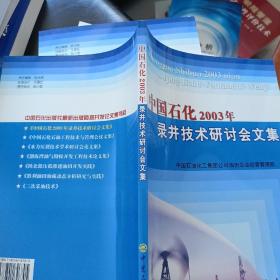 中国石化2003年录井技术研讨会文集