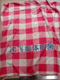 沈阳飞机 工业集团有限公司:沈飞集体宿舍夏季门帘一个(长100 cm/宽99 cm， 品一般有破损如图详看，下单慎重介意勿拍)