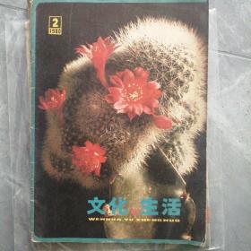 文化与生活1980年第二期  P36