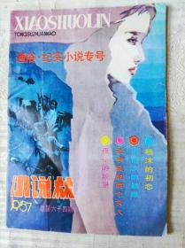 小说林1987