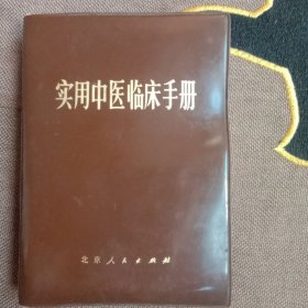 实用中医临床手册