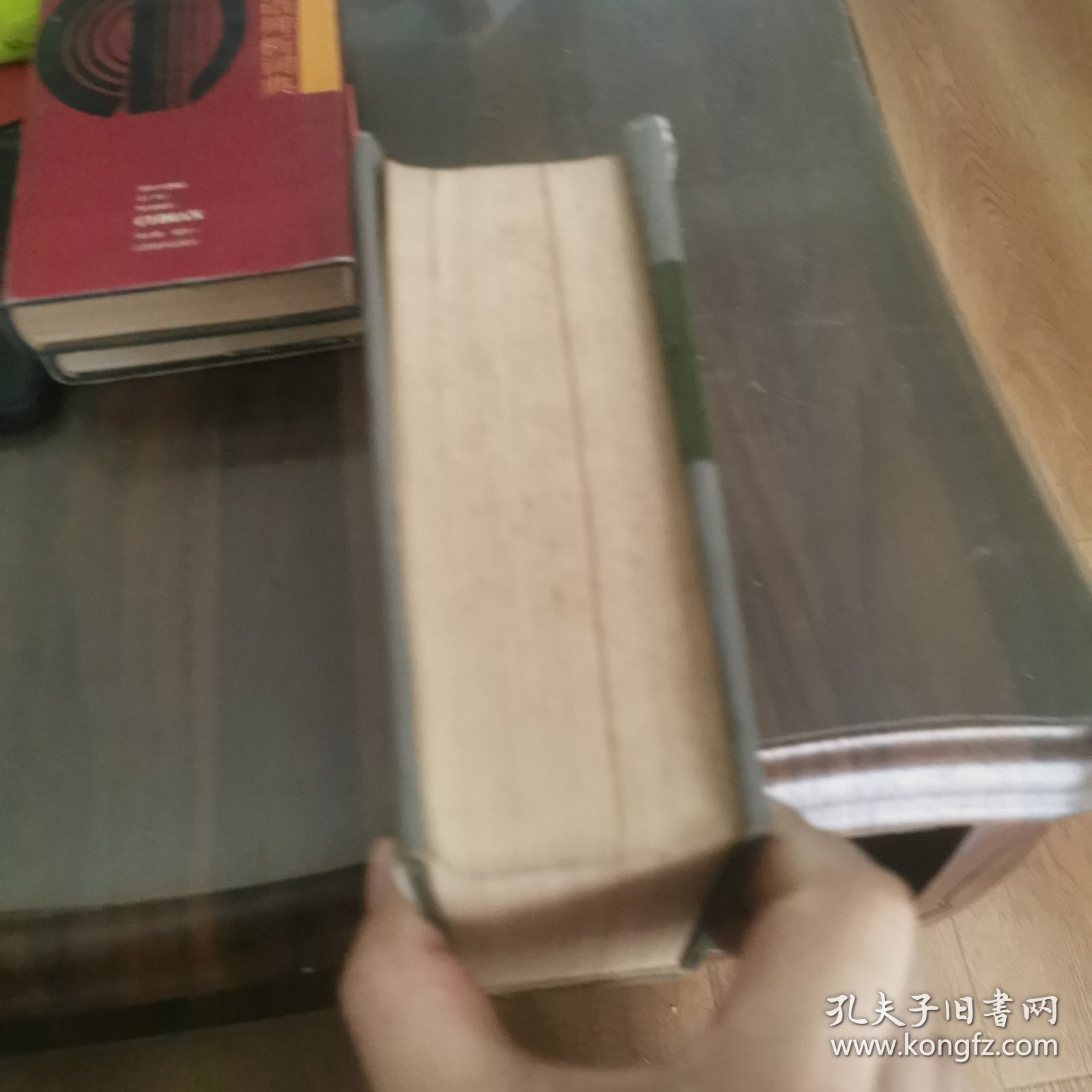 汉语成语大词典