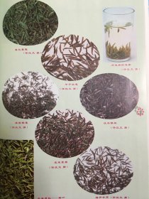 汉中茶业 一版一印