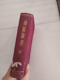 美术丛书 15