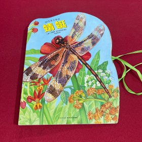 3D全景立体书：蜻蜓