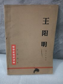 王阳明杨天石著中华书局哲学史知识读物