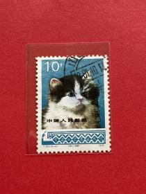 T29《工艺美术》信销散邮票10-4“小猫头（刺绣）”