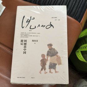 阿丽思中国游记