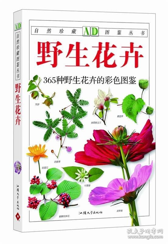野花图鉴