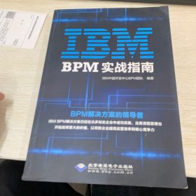 IBM BPM实战指南