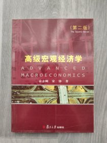 高级宏观经济学